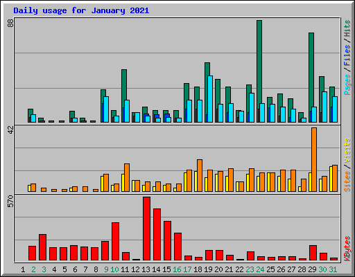 Daily usage for January 2021