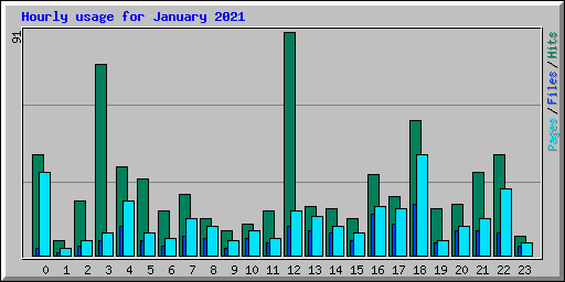 Hourly usage for January 2021